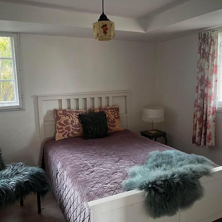 Rosenlund Gods - Kaelder B&B Sakskøbing 외부 사진